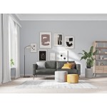 Svetainės sofa DE3392AH